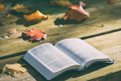 Dlaczego warto czytać Biblię?